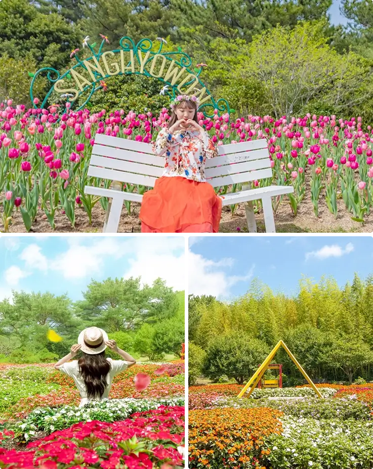 Spring flowers at Jeju Sanghyowon Botanical Garden