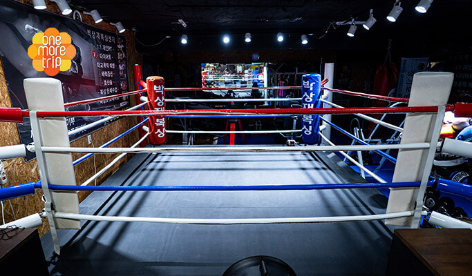 Diet Boxing One Day Class near Gangil Station