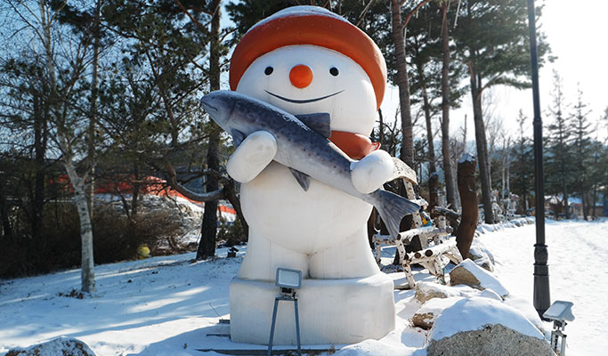 Pyeongchang & Gangneung Private Tour (from Pyeongchang & Gangneung)