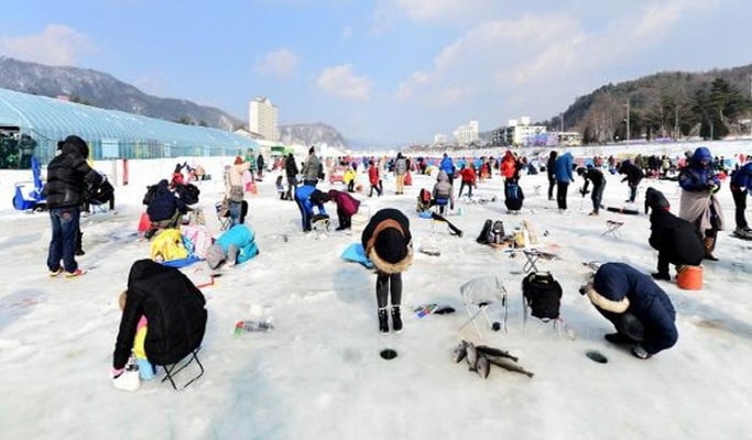 平昌鱒魚節和冰釣體驗一日遊 - 首爾出發（1 月 1 日～ 31 日）