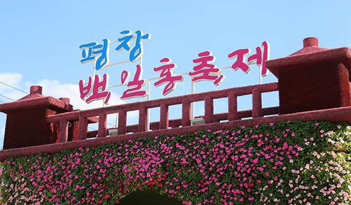 蓬坪ソバ花祭り＆平昌ヒャクニチソウ祭り1日ツアー (9/4~15)