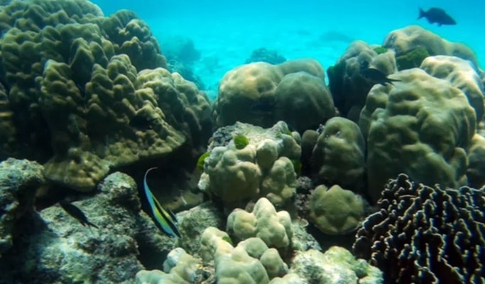 Racha Island (Raya Island) 1 Day Tour by Speedboat/Catamaran (+Lunch/Snorkeling) - from Phuket