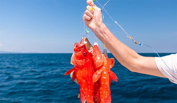 Racha Yai Island Fishing and Trolling 1 Day Tour (+ Snorkeling/Lunch) (+Hotel Transfer) - from Phuket