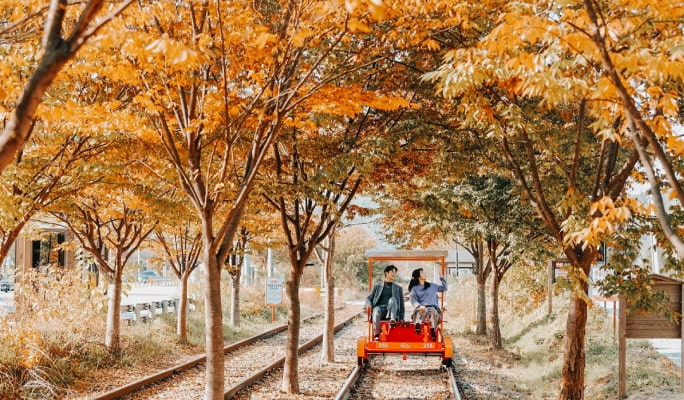 南怡島 & 虹森工作室之旅（+ 晨靜樹木園/鐵路自行車/羊駝世界/小法國村選項）
