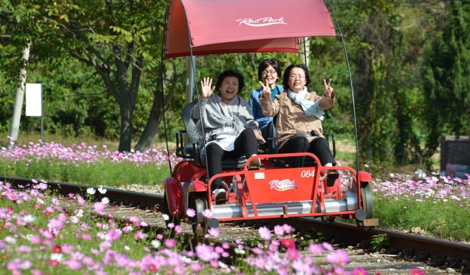 Nami Island + Petite France & Italian Village + Gangchon Rail Bike + Garden of Morning Calm Tour
