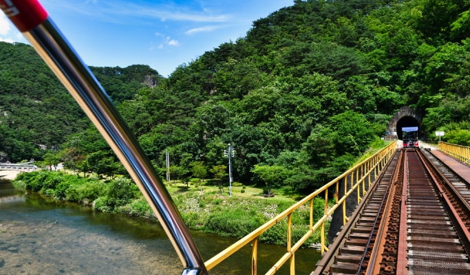 Nami Island & Apple Picking (+Rail Bike/ The Stay Healing Park/ Alpaca Garden) Tour