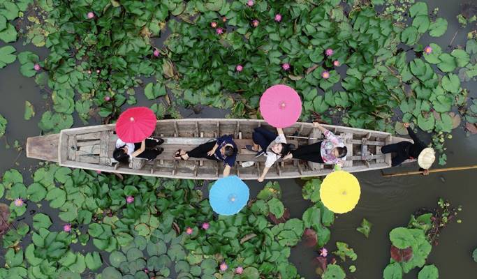 Red Lotus Flower Market Half Day Tour (+ drone photo shoot / boat ride) - from Bangkok