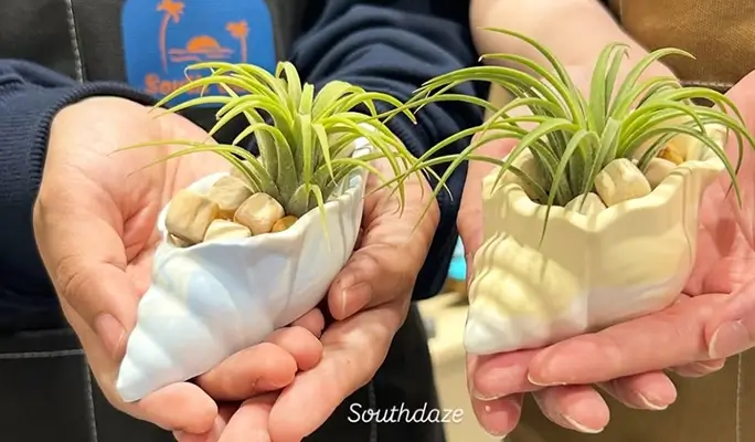 Make Your Own Eco Resin Decor with Ocean Vibes in Gwangalli, Busan