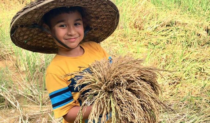 Phang Nga Rice Field Farming Experience & Tubing 1 Day Tour (+Lunch/Transfer) - from Phuket/Khao Lak