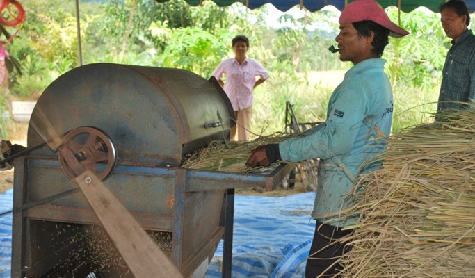 Phang Nga Rice Field Farming Experience & Tubing 1 Day Tour (+Lunch/Transfer) - from Phuket/Khao Lak