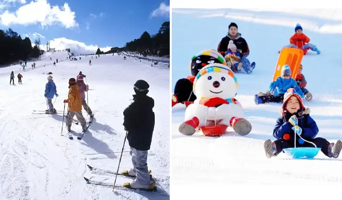 Mt. Rokko Snow Park: Ski & Snowboard Rental/ Snow Sled/ Admission Ticket 2025