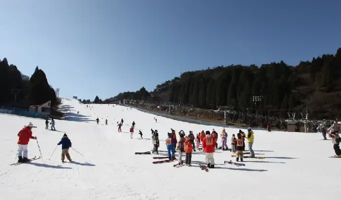 Mt. Rokko Snow Park: Ski & Snowboard Rental/ Snow Sled/ Admission Ticket 2025