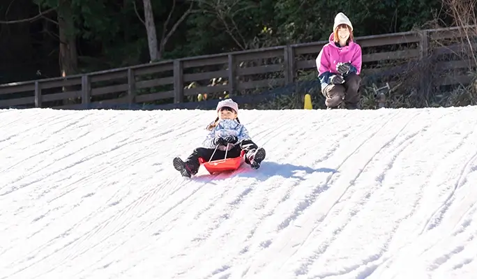 Mt. Rokko Snow Park + Arima Onsen: 1 Day Ski/Snow Sled Tour - from Osaka