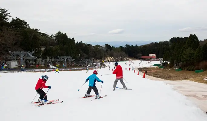 Mt. Rokko Snow Park + Arima Onsen: 1 Day Ski/Snow Sled Tour - from Osaka