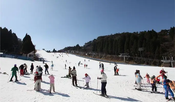 Mt. Rokko Snow Park + Arima Onsen: 1 Day Ski/Snow Sled Tour - from Osaka