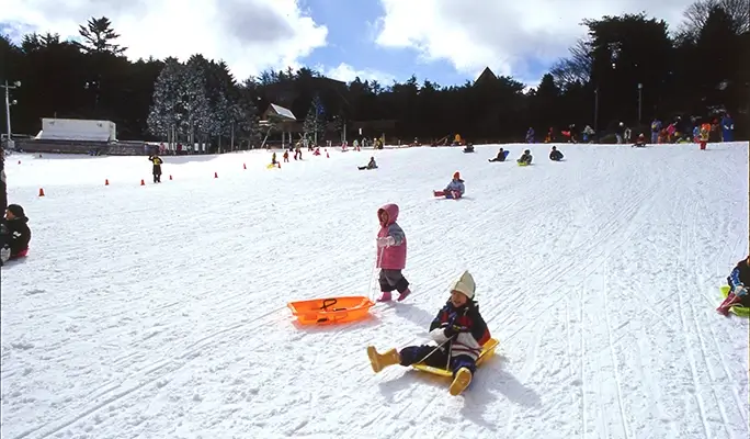 Mt. Rokko Snow Park + Arima Onsen: 1 Day Ski/Snow Sled Tour - from Osaka