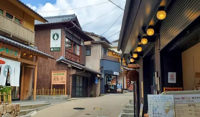 Mt. Rokko Snow Park + Arima Onsen: 1 Day Ski/Snow Sled Tour - from Osaka