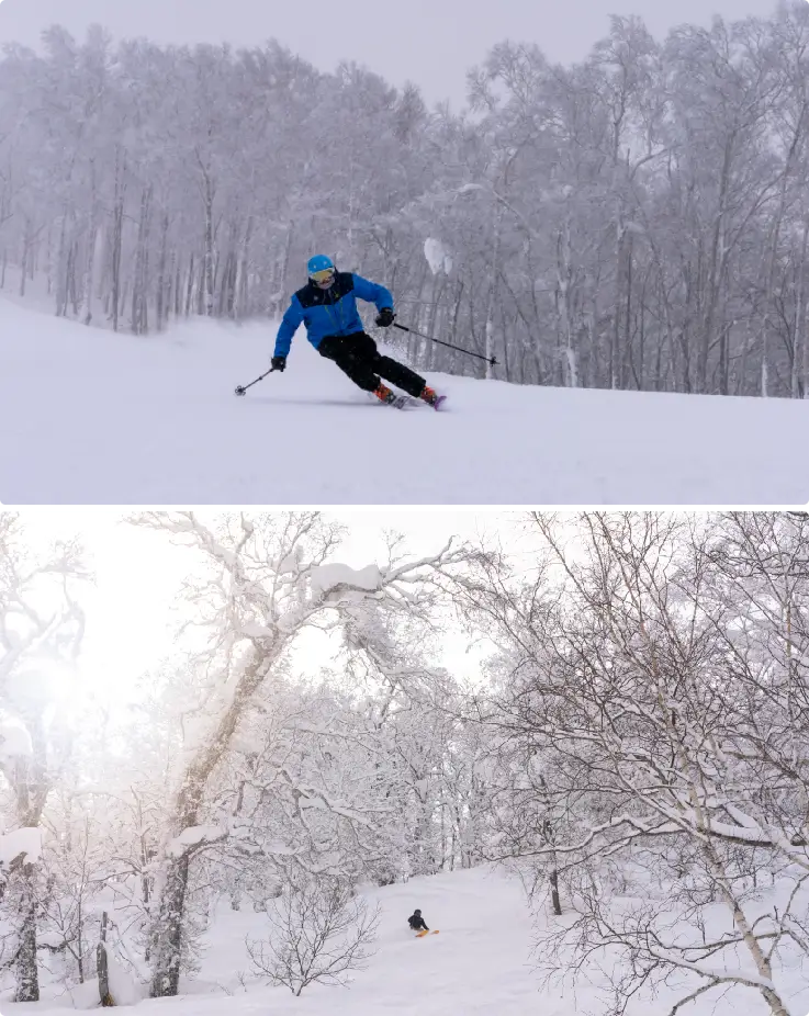 Various ski slopes at Rusutsu Ski Resort with high-quality powder snow
