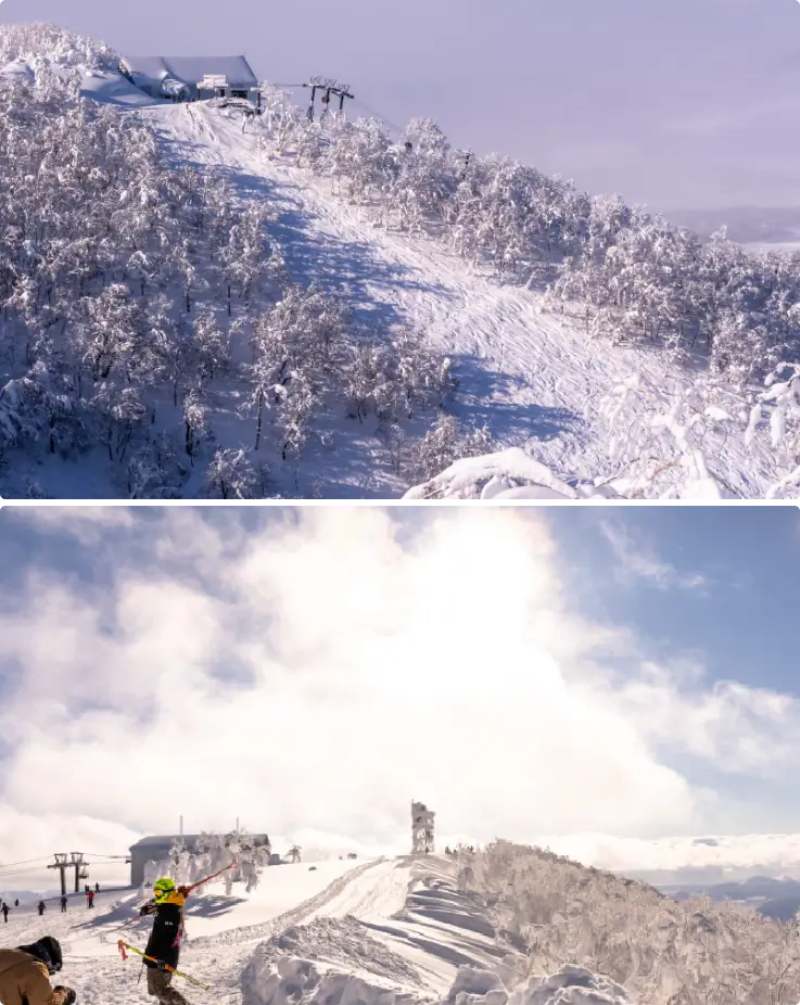 Skiers and snowboarders enjoying winter sports at Rusutsu Ski Resort