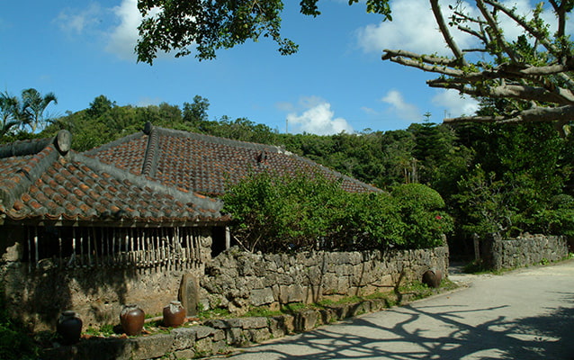 Okinawa Ryukyu Mura Discount Ticket
