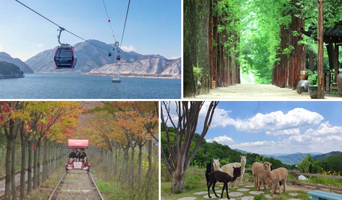Nami Island + Alpaca World + Samaksan Cable Car Tour (+ Rail Bike option)