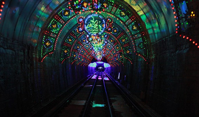 Spring Special: Samcheok Ocean Rail Bike + Cherry Blossom & Canola Flower Festival 1 Day Tour - from Seoul (Mar 26~Apr 30)