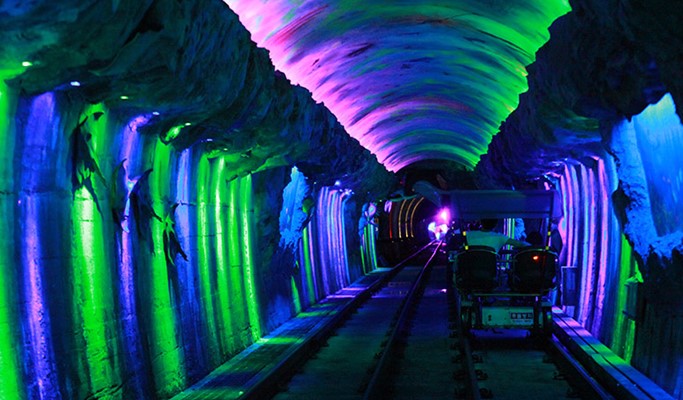 Spring Special: Samcheok Ocean Rail Bike + Cherry Blossom & Canola Flower Festival 1 Day Tour - from Seoul (Mar 26~Apr 30)
