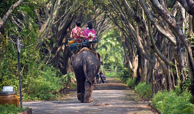 Bangkok 2/3 Days Deluxe City Pass