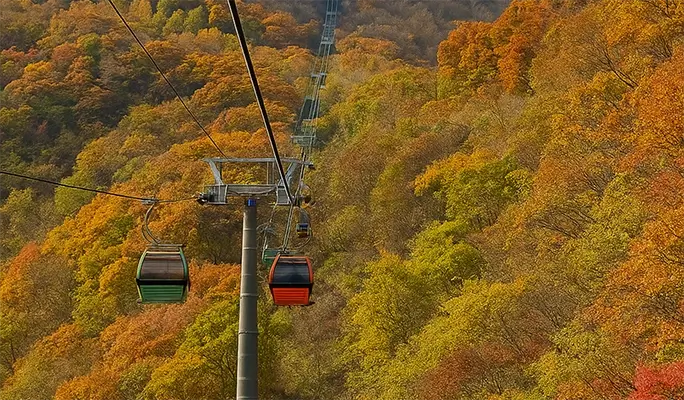 Balwangsan Cable Car (+ Woljeongsa Temple/ Samyang Ranch) 1 Day Tour - from Seoul (Oct 12~Feb 28)