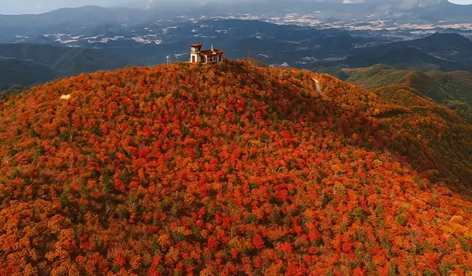 Balwangsan Cable Car (+ Woljeongsa Temple/ Samyang Ranch) 1 Day Tour - from Seoul (Oct 12~Feb 28)