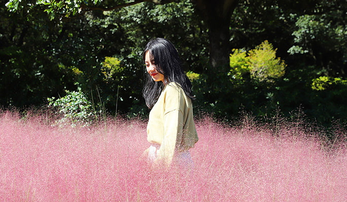 Jeju Sanghyowon Botanical Garden Discount Ticket
