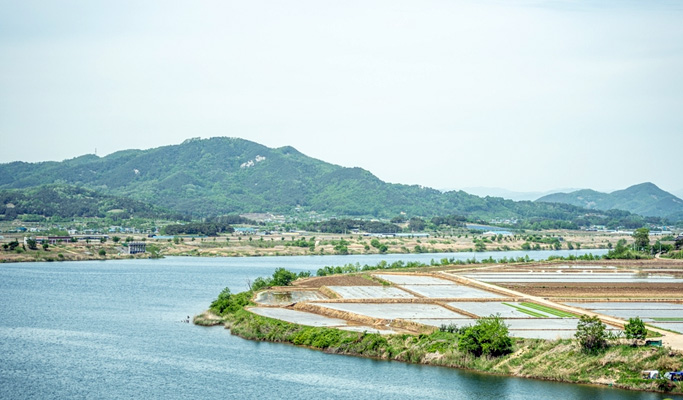 Gyeongbuk Sangju 1 Day Nature Healing Tour from Seoul