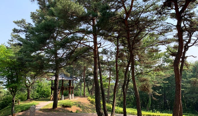 Gyeongbuk Sangju 1 Day Nature Healing Tour from Seoul