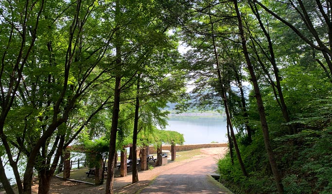 Gyeongbuk Sangju 1 Day Nature Healing Tour from Seoul