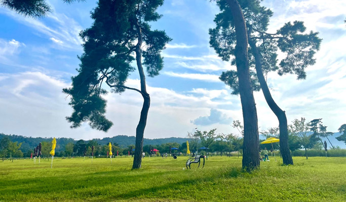 Gyeongbuk Sangju 1 Day Nature Healing Tour from Seoul