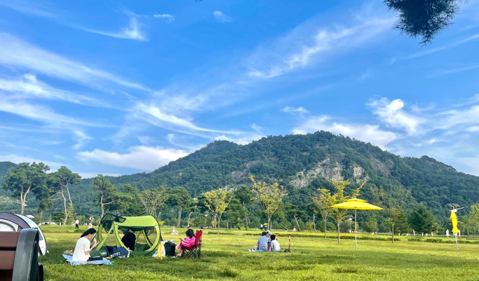 Gyeongbuk Sangju 1 Day Nature Healing Tour from Seoul