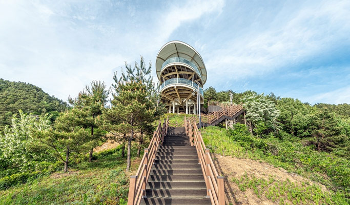 Gyeongbuk Sangju 1 Day Nature Healing Tour from Seoul
