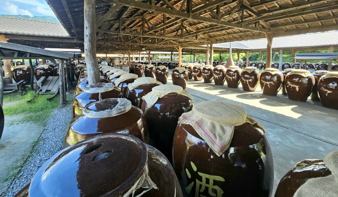 Nami Island & Winter Seasonal Attractions 1 Day Tour - from Seoul (Dec 22~Feb 29)