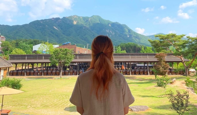 Nami Island & Winter Seasonal Attractions 1 Day Tour - from Seoul (Dec 22~Feb 29)
