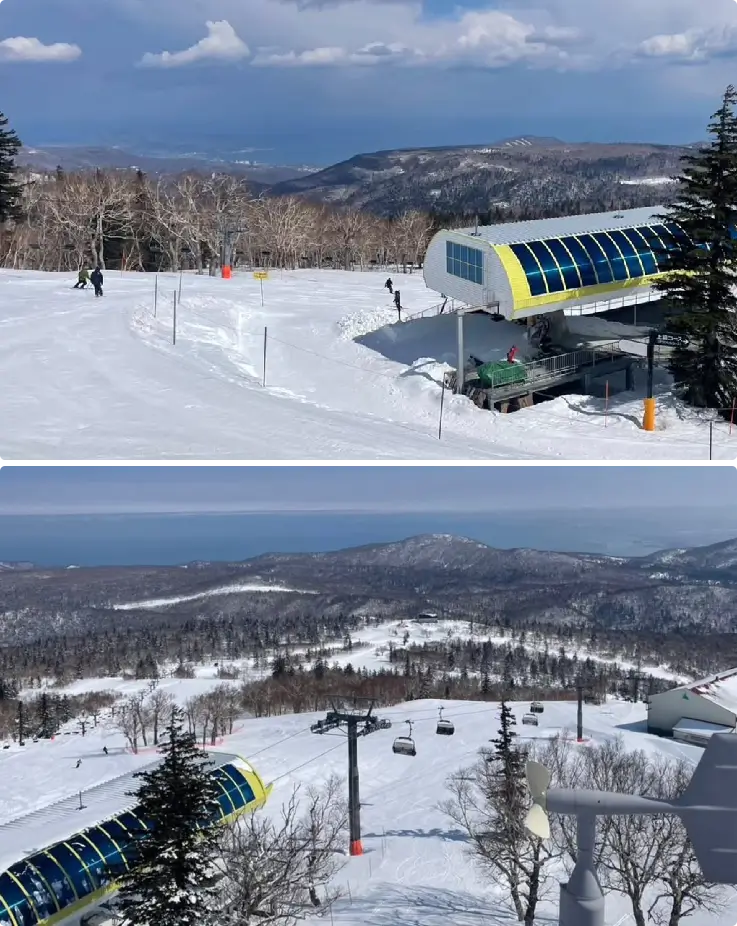 Beginner and intermediate skiers enjoying gentle slopes at Sapporo Kokusai Ski Resort.