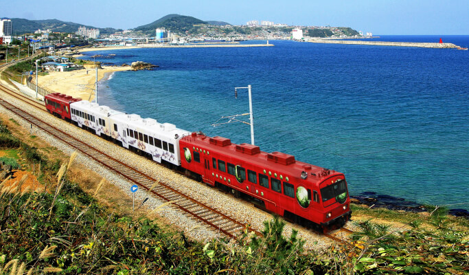 東海岸火車票預訂：江陵↔湫岩