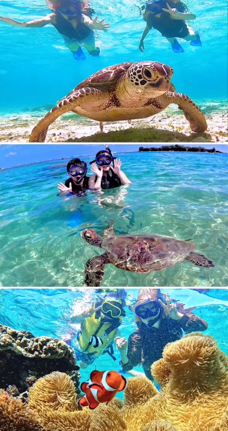 Snorkeler swimming with sea turtles in Miyakojima crystal-clear waters.