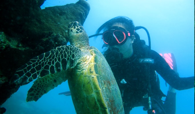 Pattaya Snorkeling & Discover Scuba Diving 1 Day Tour (No License Needed)