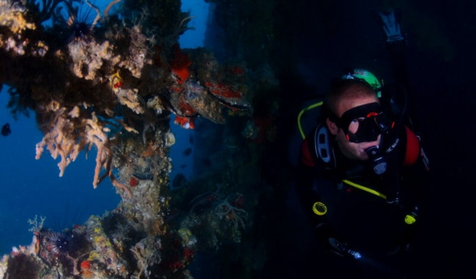 Pattaya Daily Scuba Diving Tour (Licensed Divers Only)