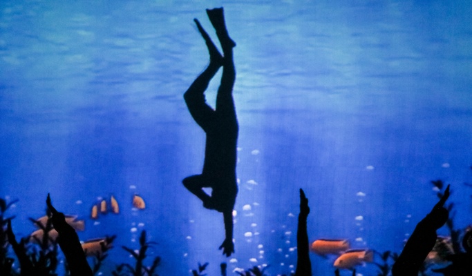 Jeju Artrium Secret of Shadow Show Discount Ticket