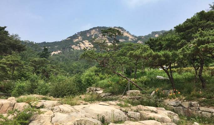 Seoul by Foot: Walking Tour in Seochon Village - Artistic Village of Past & Present