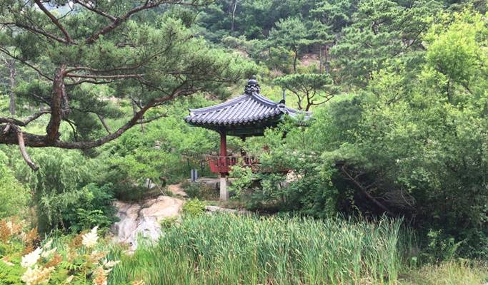 Seoul by Foot: Walking Tour in Seochon Village - Artistic Village of Past & Present