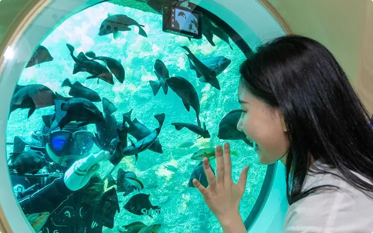A passenger waves at a diver and fish seen through the submarine window.