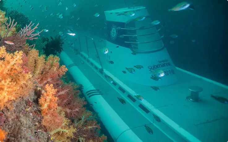 The Seogwipo Submarine cruises underwater beside a vibrant coral reef surrounded by tropical fish.