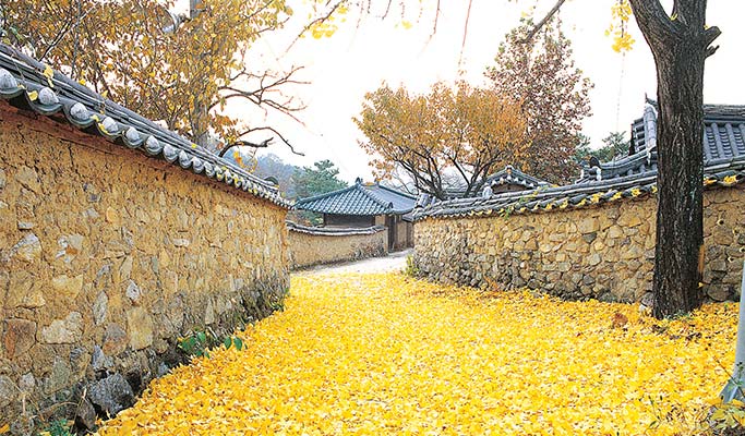 大邱慶北星州郡&漢津村一日私人旅遊